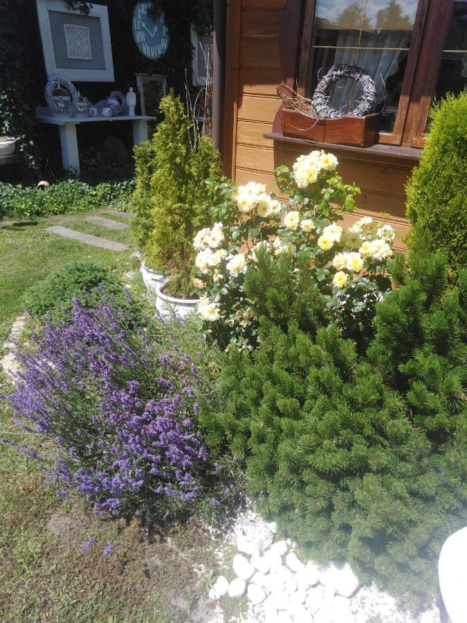 Farm stay Magnata Zamosc (Lublin)