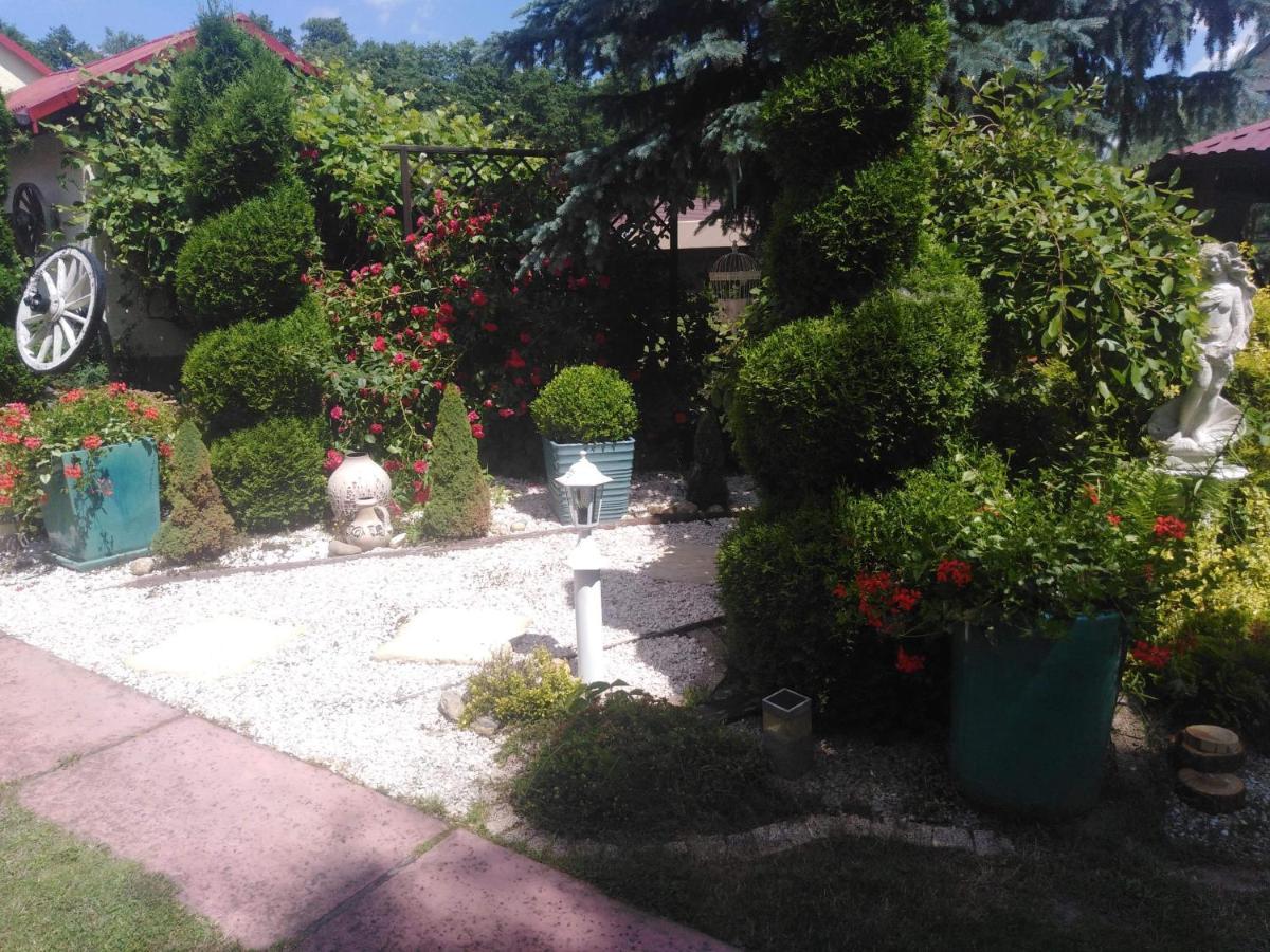 Magnata Farm stay *